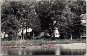 1920’s Hillside Farm Sister Lake Dowagiac Michigan MI Trees Posted Postcard