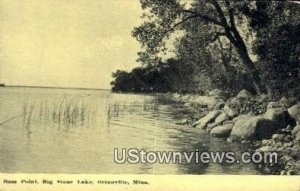 Bass Point - Ortonville, Minnesota MN Postcard