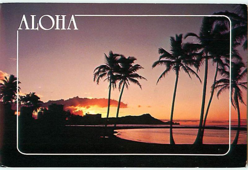 Aloha Honolulu Hawaii Diamond Head Sunset Palm Tree Skyline   Postcard  # 7052