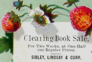 1880s Sibley Lindsay & Curr Books Darwin Descent Of Man Longfellow P60