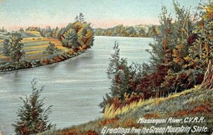 MISSISQUOI RIVER CVRR~CENTRAL VERMONT RAILROAD~GREEN MOUNTAIN GREETINGS POSTCARD 