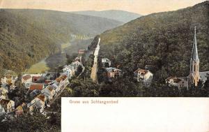 Schlangenbad Germany Birdseye View Scenic Valley Antique Postcard K17172