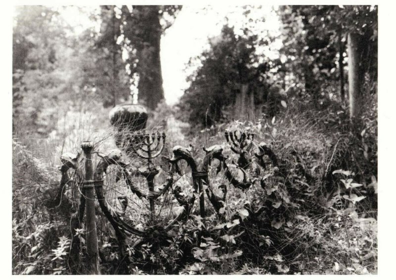 Jewish Cemetery in Lido di Venezia Venice Italy Postcard