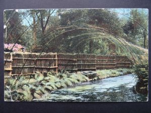 Norfolk FRITTON Arched Nets over the River c1907 Postcard by Jarrolds 1709