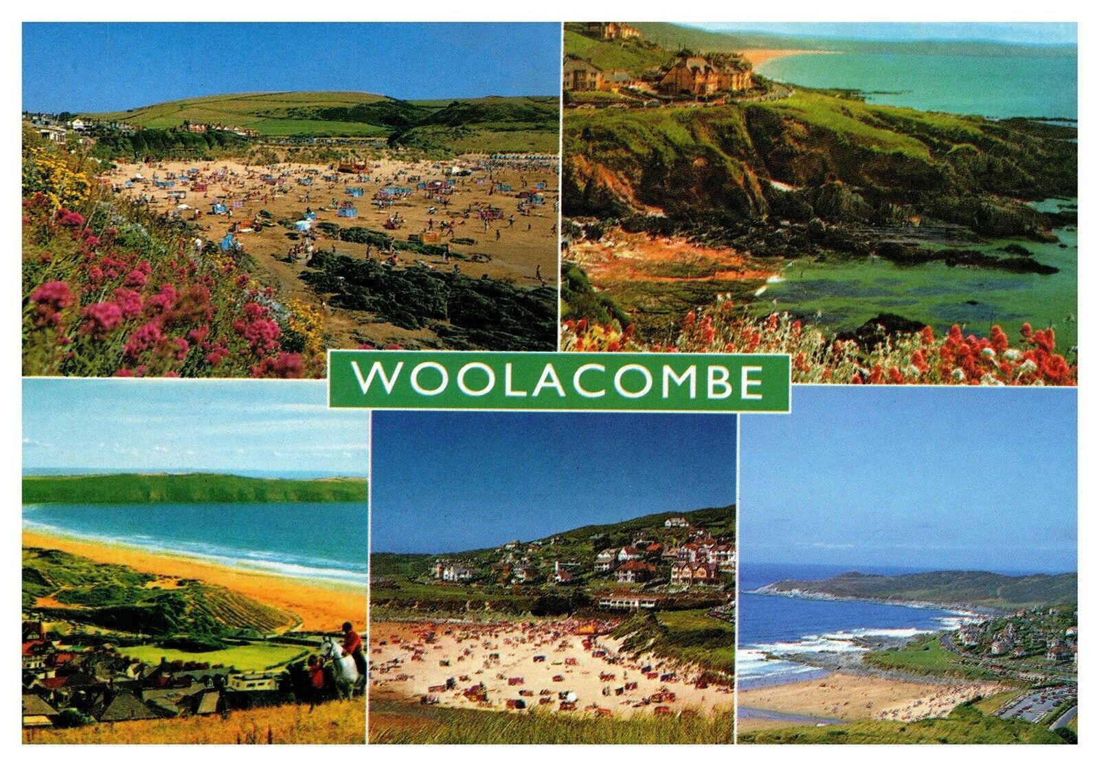 Devon Seaside Resort Beaches Multi View Ocean Chrome