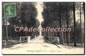 Postcard Old Noyen-sur-Seine L'Allee Du Chateau