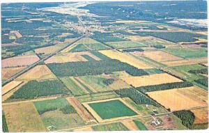 Air View of Matanuska Valley, Palmer, Alaska, AK, pre-zip code Chrome