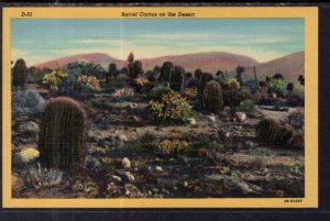 Barrel Cactus on the Desert