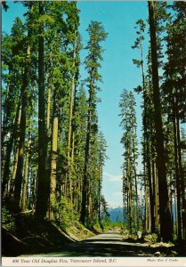 400 Year Old Douglas Fir Trees Vancouver Island BC Unused Vintage Postcard F44