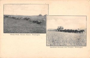 Washington Farming Scenes Wheat Field Horses and Thresher Postcard AA29010