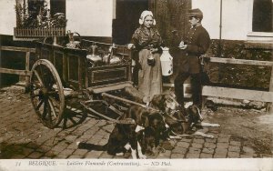 Flemish milkmaid dogs cart policeman traffic ticket postcard 1909 Belgium