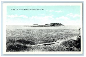 c1920's Grass View, Wood and Seguin Islands Popham Beach Maine ME Postcard 