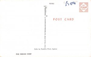 A799 Native American Ethnic Old Indian Chief vintage postcard