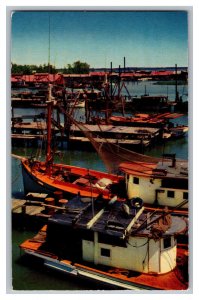 Postcard MS Shrimp Boats Mississippi Gulf Coast