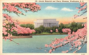 Lincoln Memorial & Cherry Blossoms Washington DC Vintage Postcard