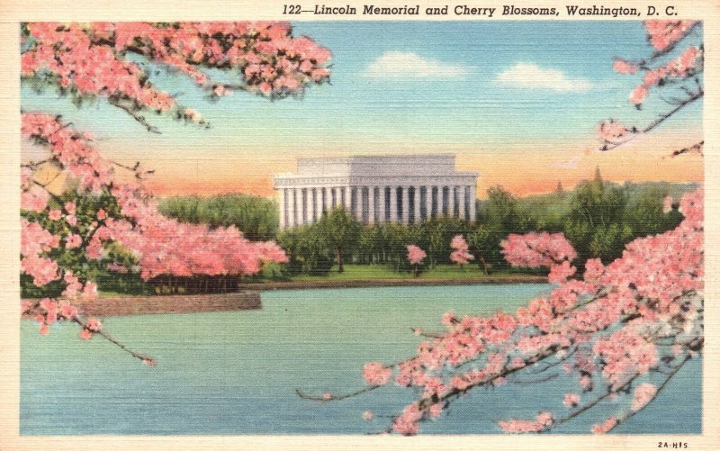 Vintage Postcard Lincoln Memorial & Cherry Blossoms Washington DC Scene Art Pub.