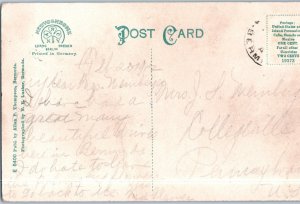 Pawpaw Tree Bermuda Postcard Posted