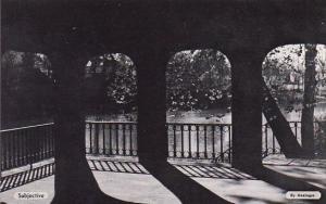 The Quiet Waters Of The Lagoon as Viewed From The Old Boat House Akron Ohio D...