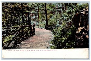 1907 Pathway To The Step Eagle Rock Top Of Orange Mountain Elizabeth NJ Postcard 