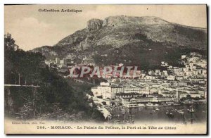 Old Postcard Monaco Palais Du Prince And The Port La Tete Dog