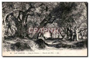 Postcard Old Cap Martin in the way Olive Trees Wood