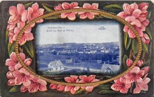 E74/ Carrollton Ohio Postcard Carroll County c1910 Fancy Pottery Birdseye 2