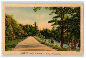 Greetings From Lynn Indiana IN, Road View And River Antique Postcard