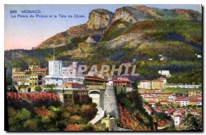 Old Postcard Monaco The Prince's Palace and the Dog Tete