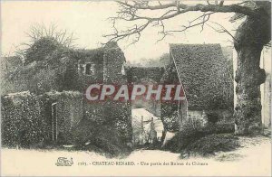 Postcard Old Chateau Renard Part of a Castle Ruins