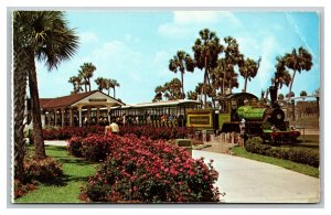 Vintage 1960's Postcard Trans Veldt Railroad Train Busch Gardens Tampa Florida