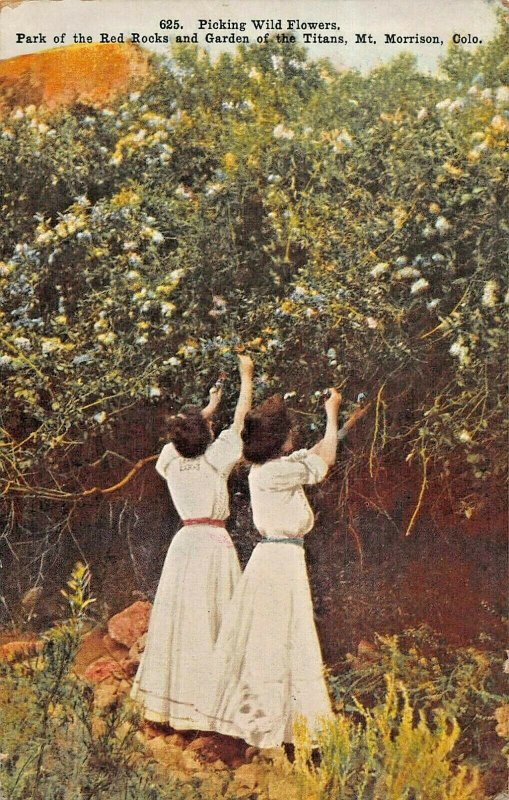 MT MORRISON CO~PICKING WILD FLOWERS-PARK RED ROCKS-GARDEN TITAN~1908 POSTCARD  