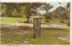Hampshire Postcard - Rufus Stone - New Forest - TZ11198