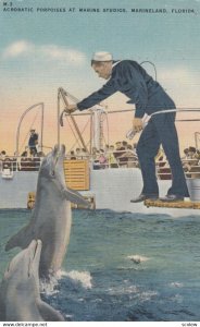 MARINELAND , Florida , 1930-40s ; Sailor feeding a dolphin