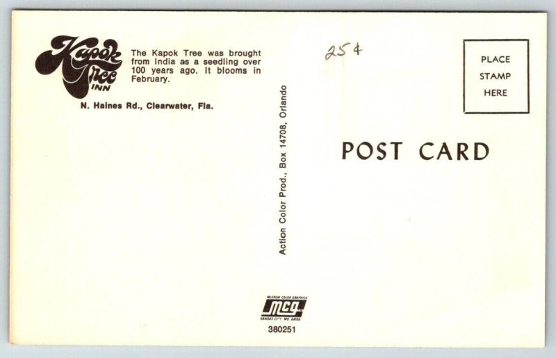 Kapok Tree Inn   Clearwater  Florida   Postcard
