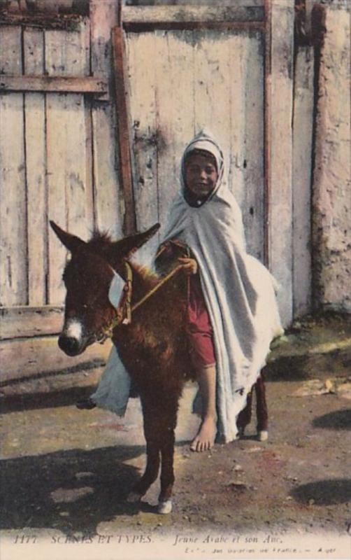 Algeria Scenes Et Types Jeune Arabe el son Ane Young Girl On Donkey