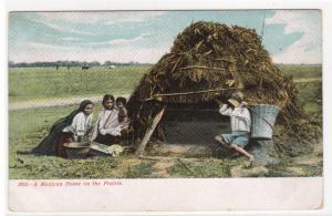 Mexican Home on The Prairie USA 1907c postcard