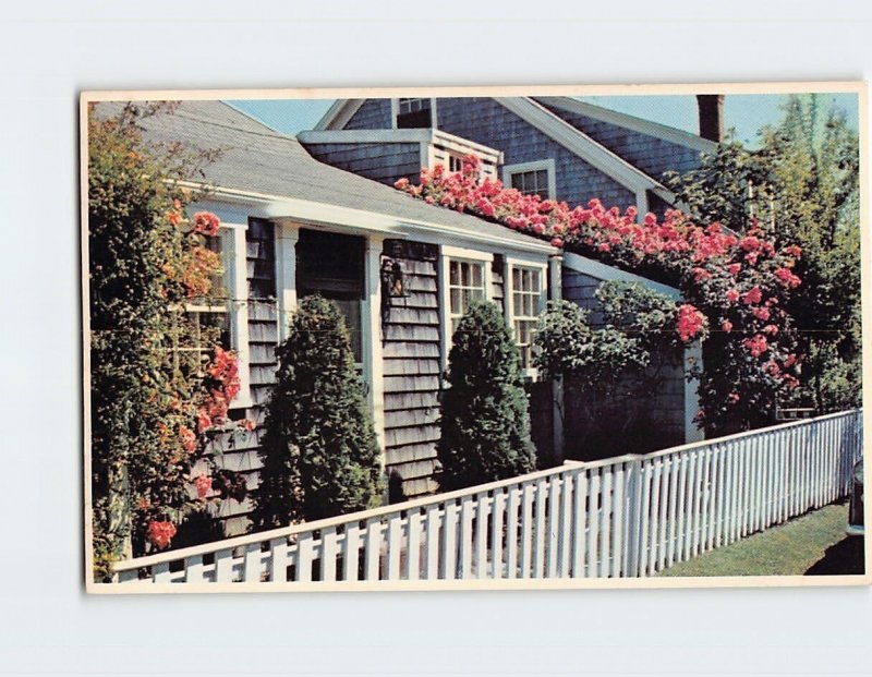 Postcard Rose Covered Cottage, Nantucket, Massachusetts