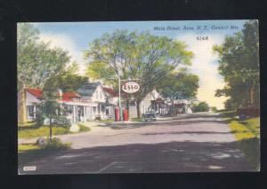 CATSKILL MOUNTAINS NEW YORK ACRA NY ESSO GAS STATION 