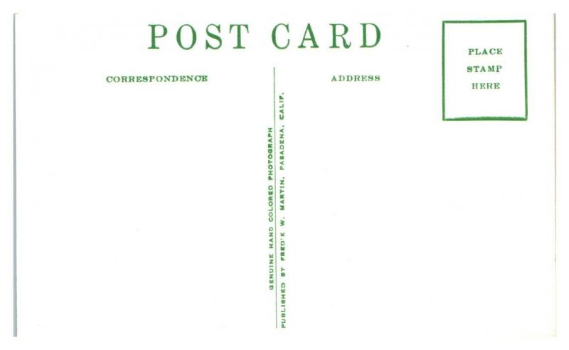 RPPC Carmel, CA Street Scene Hand-Colored Real Photo Postcard *5N27