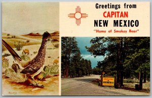 Capitan New Mexico 1970s Greetings Postcard Home Of Smokey Bear