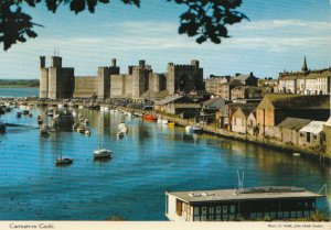 Wales Postcard - Caernarvon Castle - Ref TZ5251