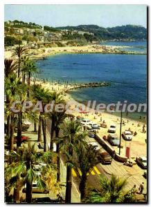 Modern Postcard The French Riviera miracle of nature Toulon Beach Mourillon