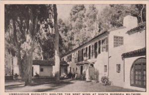 California Santa Barbara Biltmore Umbrageous Eucalypti Shelter The West Wing