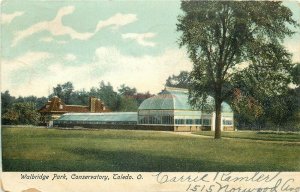 OH, Toledo, Ohio, Walbridge Park, Conservatory, Illustrated Post Card No. 42