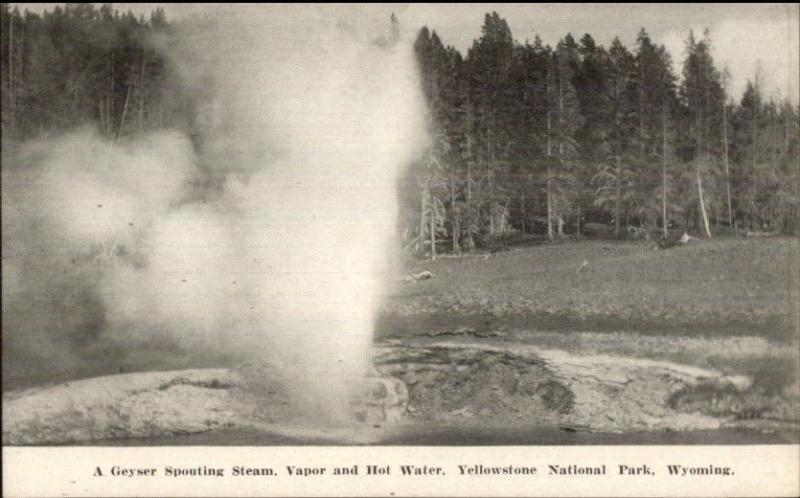 Yellowstone Park Geyser Spouting Steam NZ Graves Zenith Art Lusters Postcard 