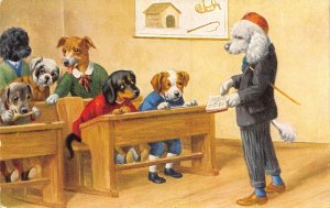 Fantasy Humanized Dogs At School Anthropomorphic 1928 postcard  B927
