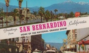 San Bernardino Calafornia National Orange Show American MINT Postcard
