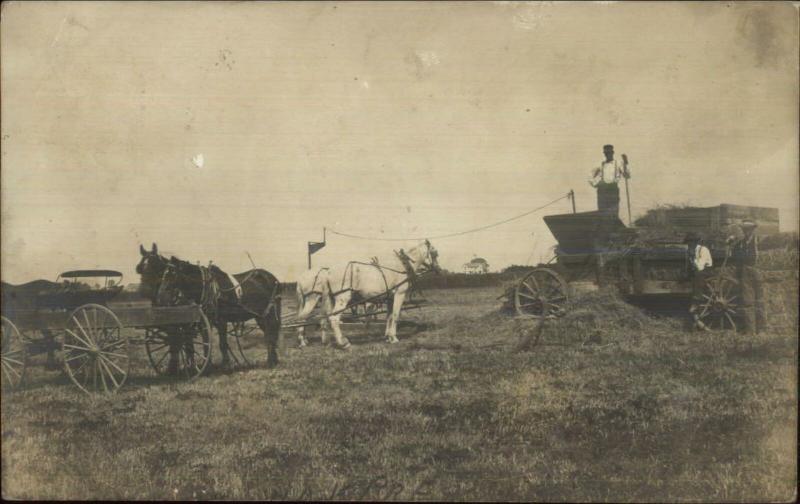 Farming Agriculture Haying Horse Team Men Partial Indiana Cancel 1909 RPPC