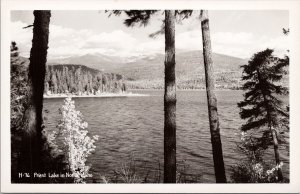 Priest Lake in North Idaho ID Unused Ross Hall RPPC Postcard H50