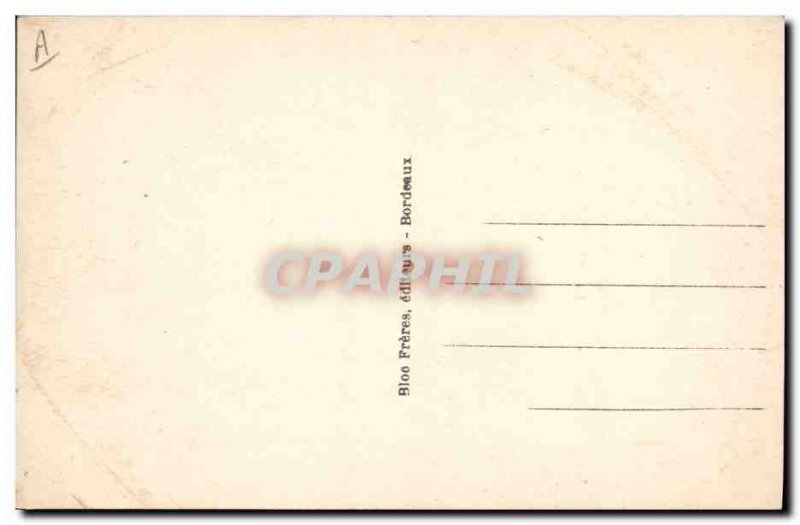 Old Postcard Pyrenees Isard capture alive